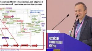 Влияние микоплазменной инфекции на биологию и чувствительность клеток рака легкого