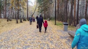 Экопарк на Северо Западе Челябинска золотая осень 2019г. Смешанный не тронутый лес чистейший воздух