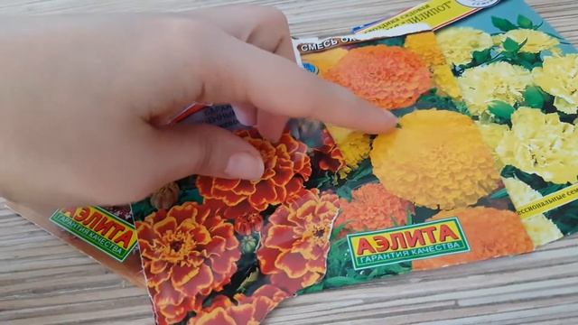 Просроченные семена цветов. Взойдут? смотреть онлайн