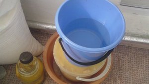 Засолка груздей холодным способом