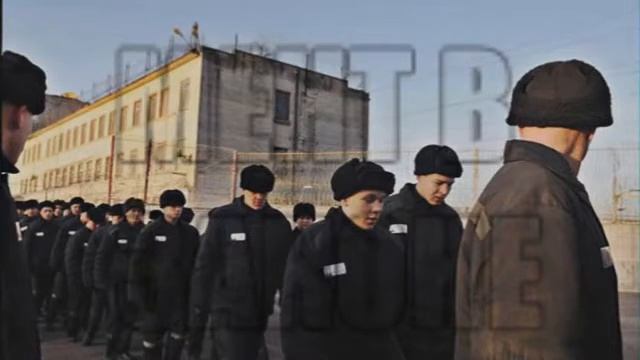 Как зеки презирают дубаков  О работниках зон ,кто они такие