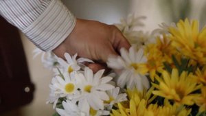ПОЧТИ ТВОЯ Маргарита Бахарева