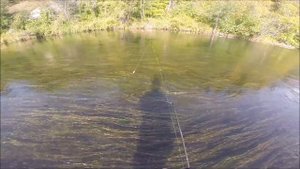 Снасть на хариуса.Ловля хариуса в последние теплые дни сентября.