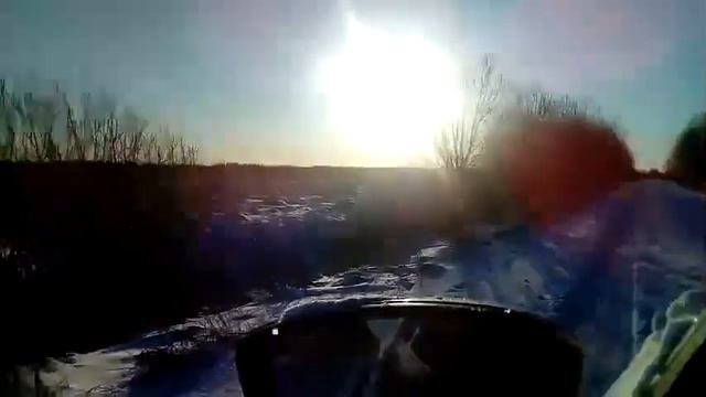 Мой Алабай