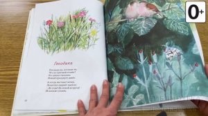 Книжки и картинки. Иллюстраторы детских книг. Наталья Басманова