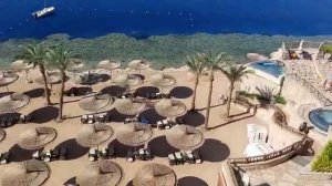 Reef Oasis blue bay 5 * 👍