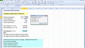 Excel 2010 Editing variables in scenarios