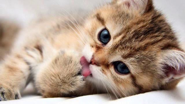 Lovely Music . Super! смотреть онлайн