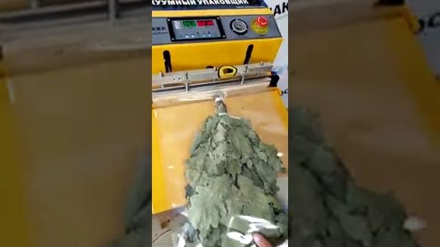 Банный веник в вакуумной упаковке на упаковщике DZQ-400TE.mp4