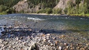 Сплав по р. Лемва, респ. Коми, август 2019