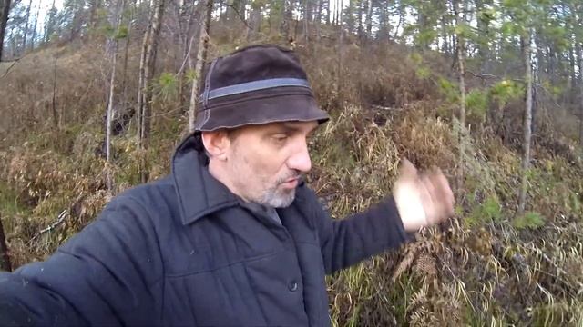 МАНУКА МЁД, отличие от северного мёда! О музыке. смотреть онлайн