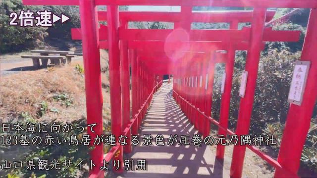 字幕あり。SAで仮眠は無理。山口県弾丸旅行【キャンピングカー旅】角島　元乃隅神社　瓦そば　長門湯本温泉　いろり山賊　#キャンピングカー #車中泊 #夫婦旅  　 [アストロタイガー改造記]
