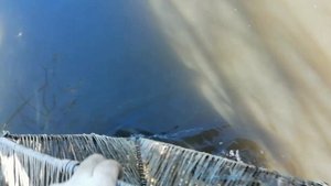 Сибирь хороший улов, накормить рыбу в карчяшке один раз