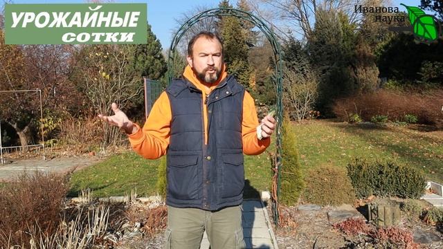 ШОК! Эти растения лучше посеять под зиму ,чем не посеять вообще!