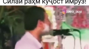 Шайх Пурдил