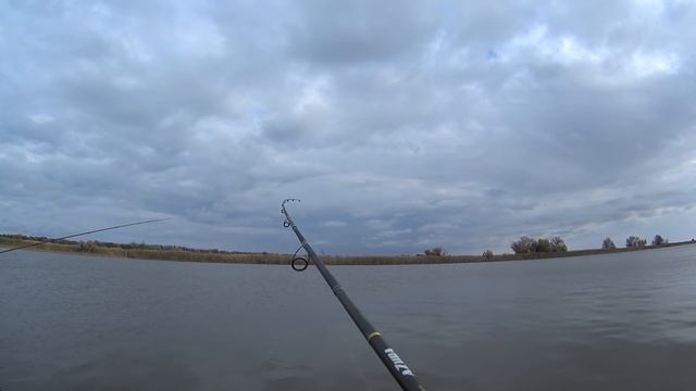 Нифига себе кабаны клюют!!! Наконец то поймал свой трофей!! Рыбалка на спиннинг. смотреть онлайн