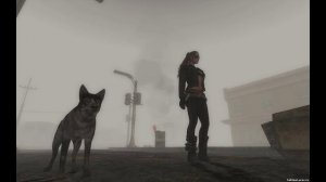 Энциклопедия мира Фаллаут - Напарники Фалаут 3 (Кловер и Псина)