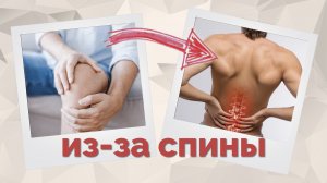 Боль в коленях и поясница. Связь? Как это лечить?