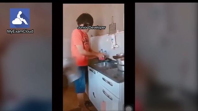 Junior Developer vs Team Lead - MyExamCloud Fun TV смотреть онлайн