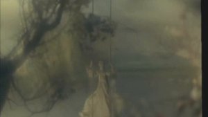 Ах! уж эта Любовь