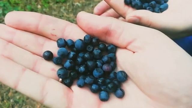 Прогулка по реке ИСЕТЬ. Разведка новых мест. смотреть онлайн