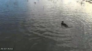 открытие охоты на утку 2021. тест болотохода в жестких условиях.