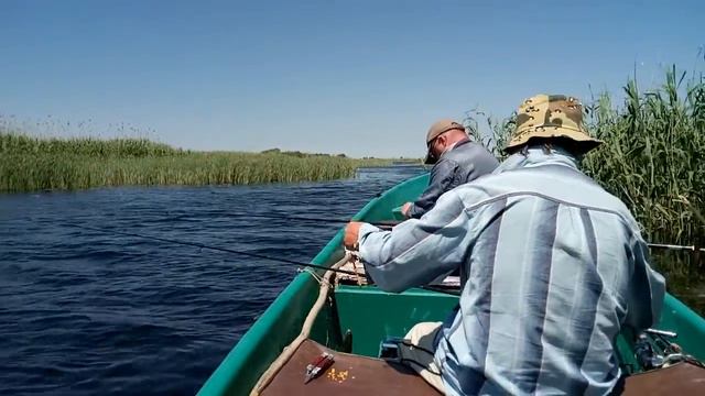 Мумра, и все-таки она ловится! смотреть онлайн