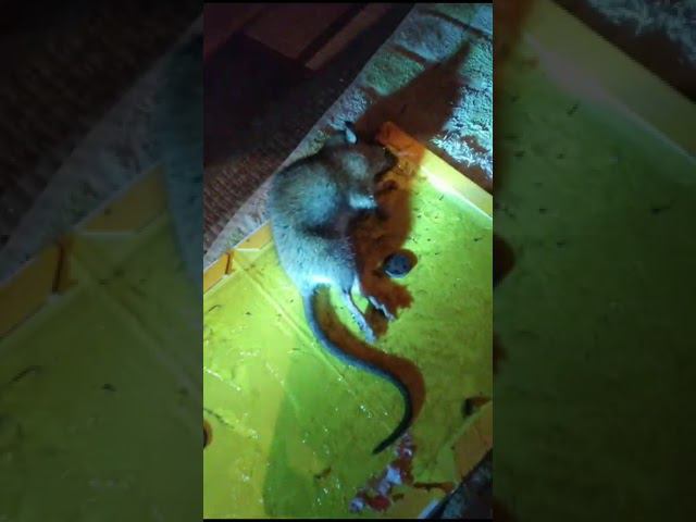 28 ноября 2023 г. смотреть онлайн