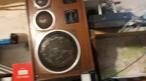 Про акустику радиотехника и колонка 50АС-5.