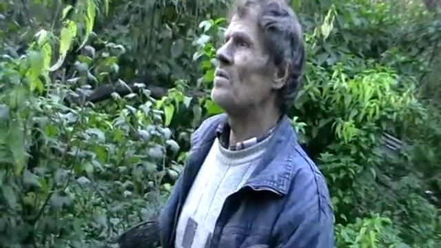 Пять сочных котлет! смотреть онлайн