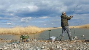 Озеро Уелги опять порадовало. Половил карася на пикер.