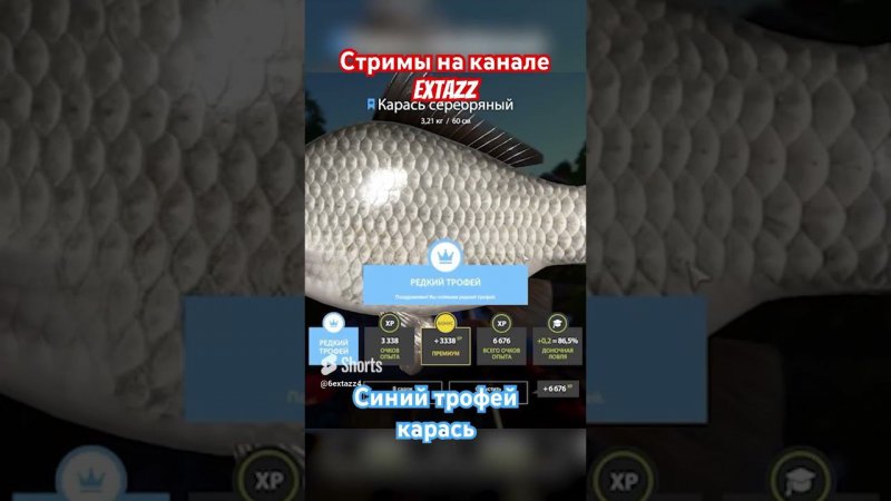 Видео от подписчика @fff444-kq6mw  #стрим #рыбалка #russianfishing4 #fishing #трофей #carpfishing