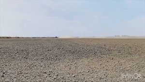 ДТ-75 с мотором ЯМЗ-236