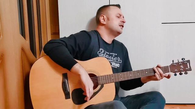 #владимирклявин                                     Владимир Клявин - Голуби (кавер)