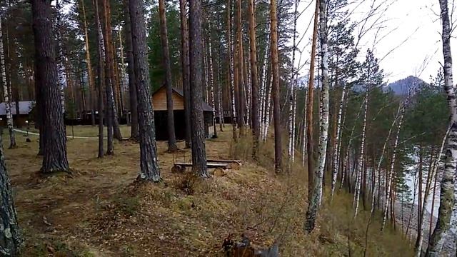 Горный Алтай. База Примула. Принцесса Алтая. смотреть онлайн