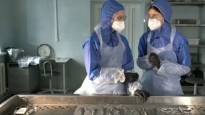 Судмедэксперт Анна Свиридова