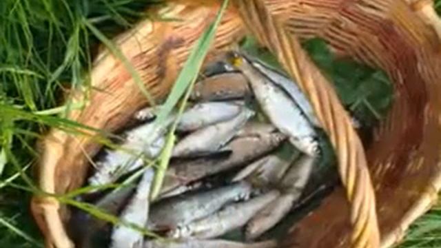 Будилиха .flv