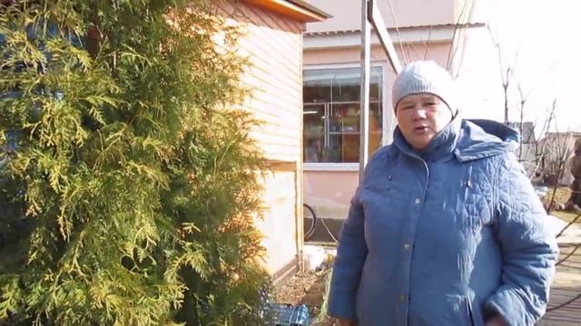 Позаботьтесь о красавице туе. смотреть онлайн