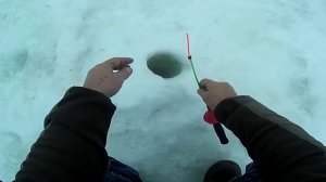 Одиночная рыбалка на озере День 3 й Пулемётный клёв плотвы