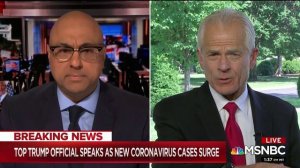 Peter Navarro on MSNBC