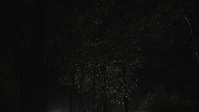 Self-portrait with chrysalis in a locked garage смотреть онлайн