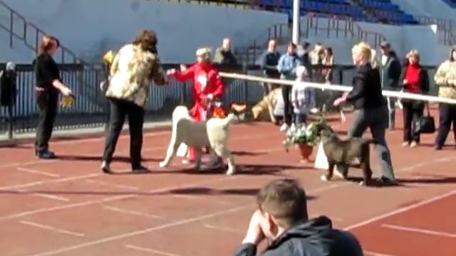 моно САО Челябинск 12.05.2013 смотреть онлайн