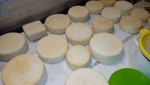 Плесень на сыре - избавляемся