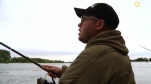 Ловля сазана в предзимье на реке. Алексей Фадеев. Часть 1. Anglers Practical