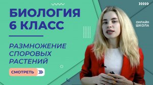 Размножение споровых растений. Урок 23. Биология 6 класс