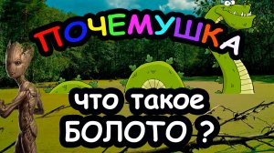 Что такое БОЛОТО?
ПОЧЕМУШКА