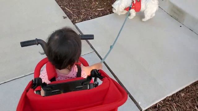 Doona Trike s3 bike смотреть онлайн