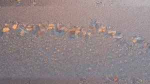 Зима Мороз "Узоры на окнах" Клип Авторские фото