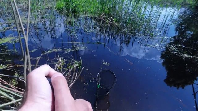 ОСОБЕННОСТИ И СЕКРЕТЫ ЛОВЛИ КАРАСЯ НА ПОПЛАВОЧНУЮ УДОЧКУ