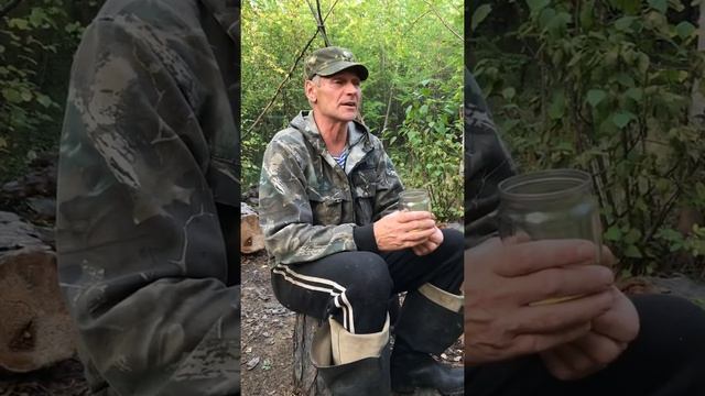 Стихотворение о тайге смотреть онлайн